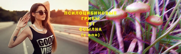 Альфа ПВП Абдулино
