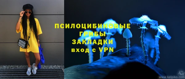 ECSTASY Абаза